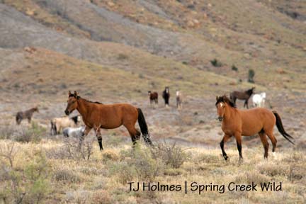 Duns with Alpha’s family