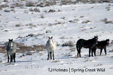Seven’s family, closer