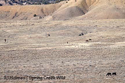 Bounce, Alegre and the B6