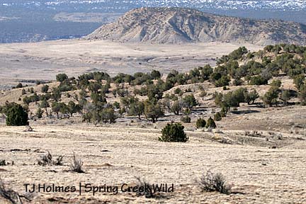 From the north, looking south