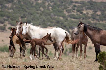 Storm with his family