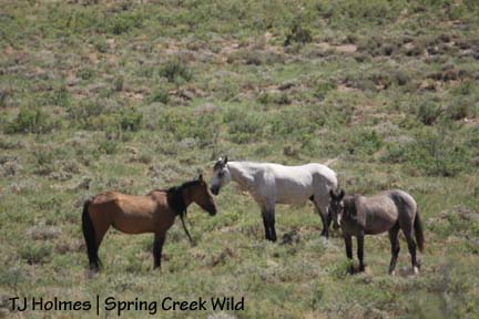 Catching some zzzz's