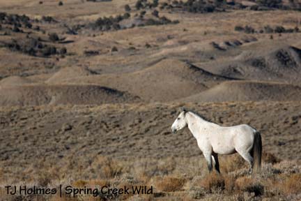 110808greywatch On guard