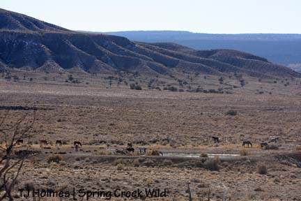 110808sdbandpond Band at water
