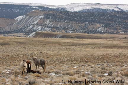 121208bigview World view