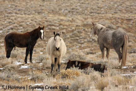 121208embernap So worried