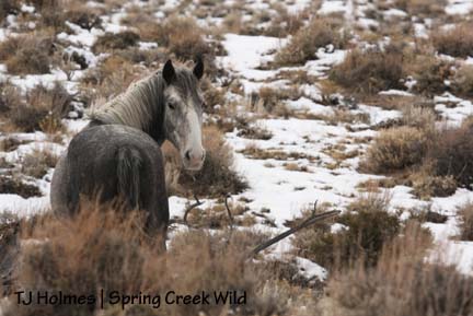 121208kreacher Who, me?