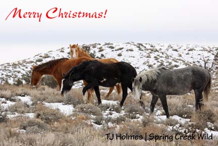 121208kreachermares Peace and hope to you and yours