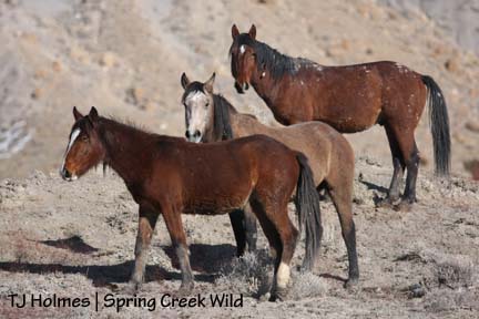 011709aspenband New lead guy