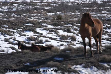 011709aspenband1 Uh-oh