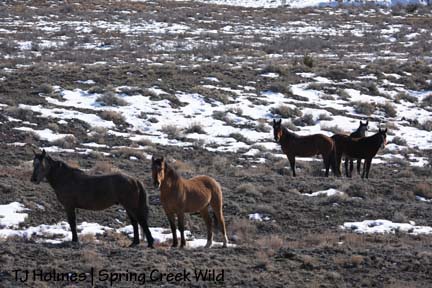 011709familyfive All together