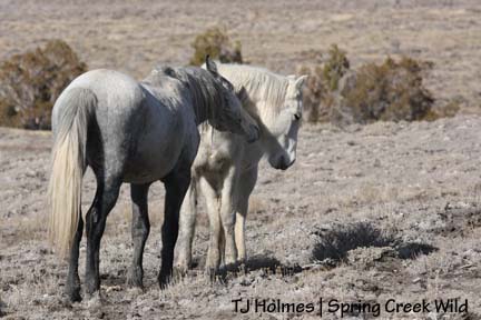 011709lover-coy Lover boy