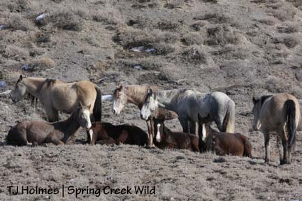 011709sdbandnap Perfect nap weather