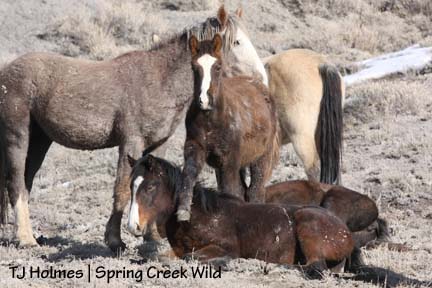 011709stormlegpinon Harrassment