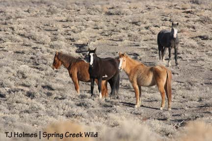 Three girls and a boy