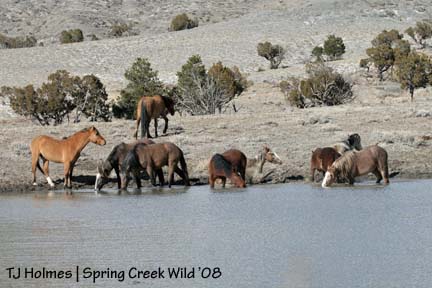 Wider view of Round Top pond