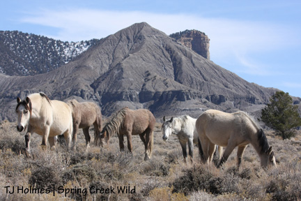 Steeldusts band in front of McKenna Peak