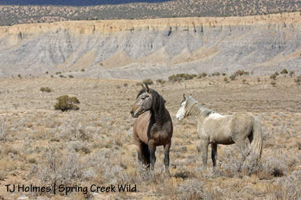 Hey, look over there