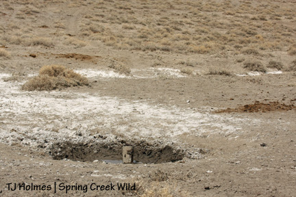 Yucky from a distance