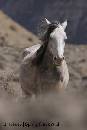Swaying with the wind