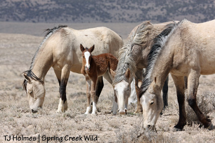 Welcome to your family