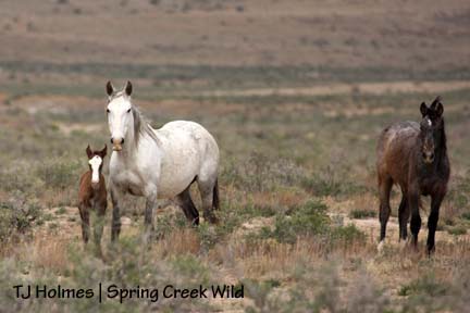 Iya, Houdini and Two Boots