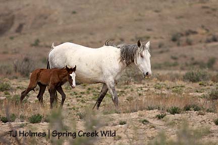 Baby Iya and mama Houdini