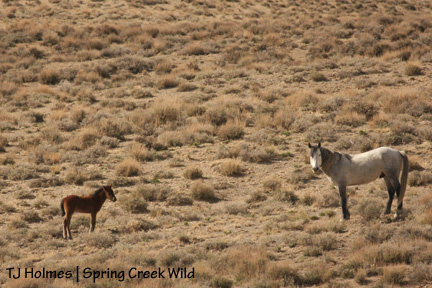041809zeseven Ze and Daddy