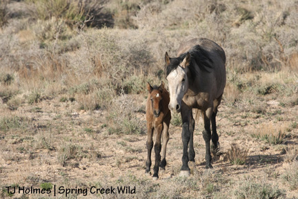 043009piedrasagewalk Baby and Mama