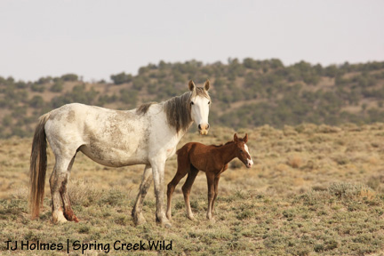 050109houdiniterra2 Mama and baby