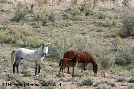 050109sevenzeroja Up