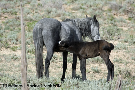 051509whispernurse Nourishment