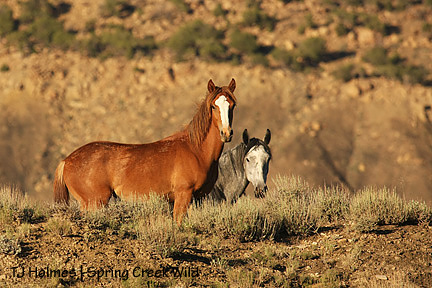 Sweet girl, lovely mama