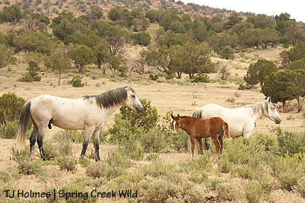 All right with the world