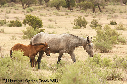 Two Boots and Cuatro