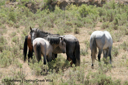 Little boy among big boys