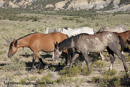 Jif and Iya and band