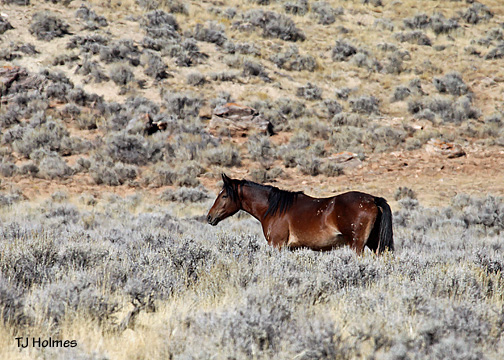 0924baymare 0924baymare