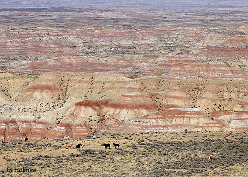 0924blkpalfar 0924blkpalfar