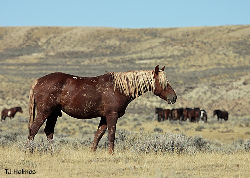 0924kenyabands 0924kenyabands