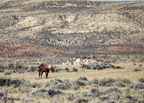 0924kenyafar 0924kenyafar