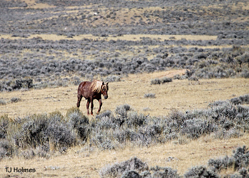 0924kenyawalkfar 0924kenyawalkfar