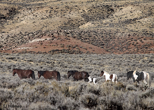 0924rerunband 0924rerunband