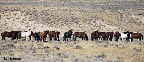 0924sleepybutts 0924sleepybutts