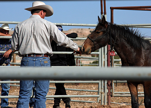 0926mcnabbisildur 0926mcnabbisildur