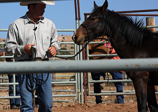 0926mcnabbisildur2 0926mcnabbisildur2