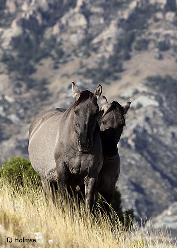 0926sachid 0926sachid