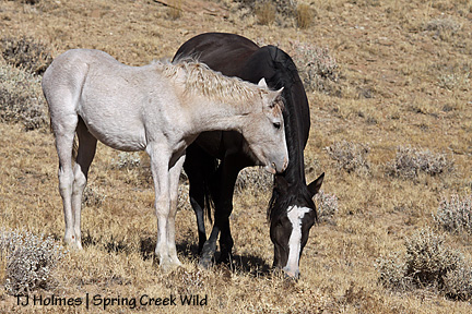 Nibbling Mama's ear