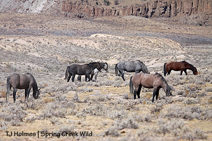 100909boys 100909boys