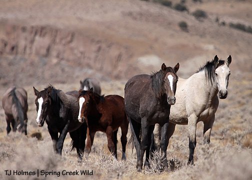 100909kesemsthan 100909kesemsthan